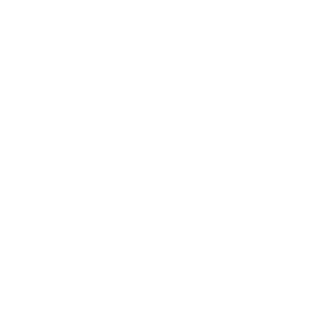 Busy Bees Foundation School logo